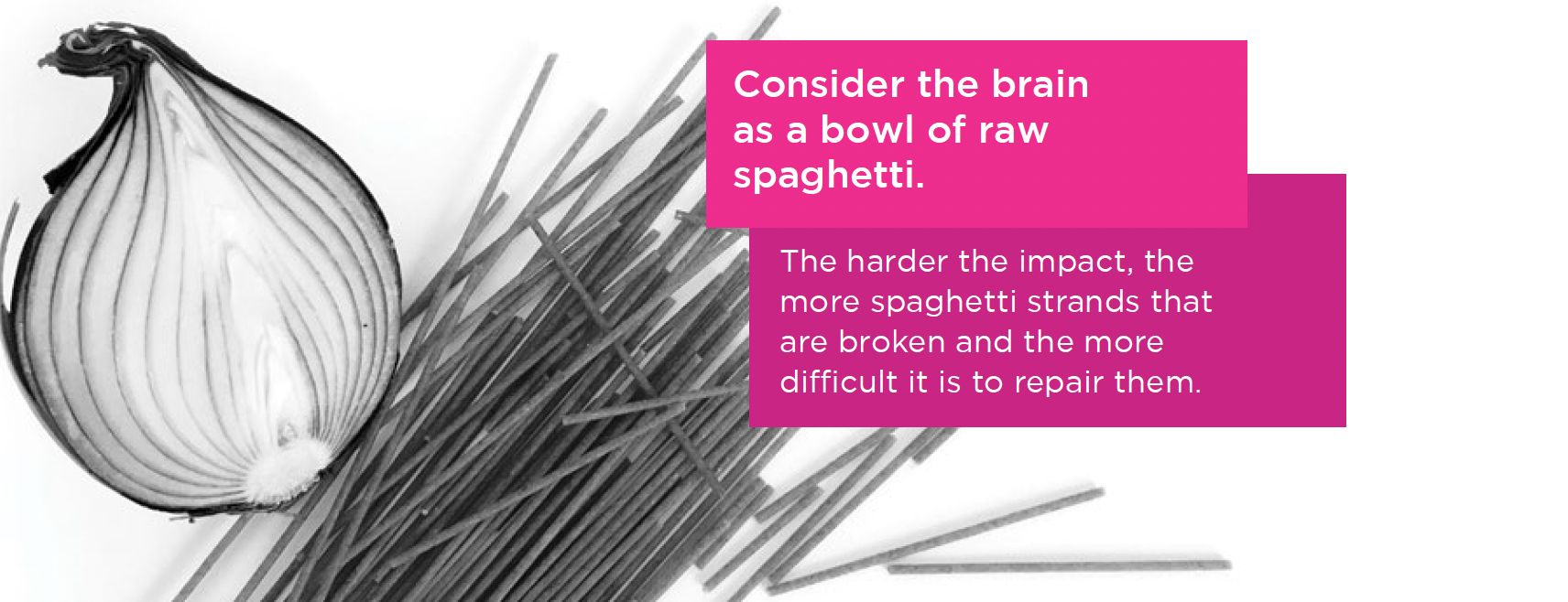 The Brain – Spaghetti and Onions